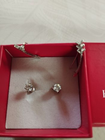 2 paires de boucles d'oreilles