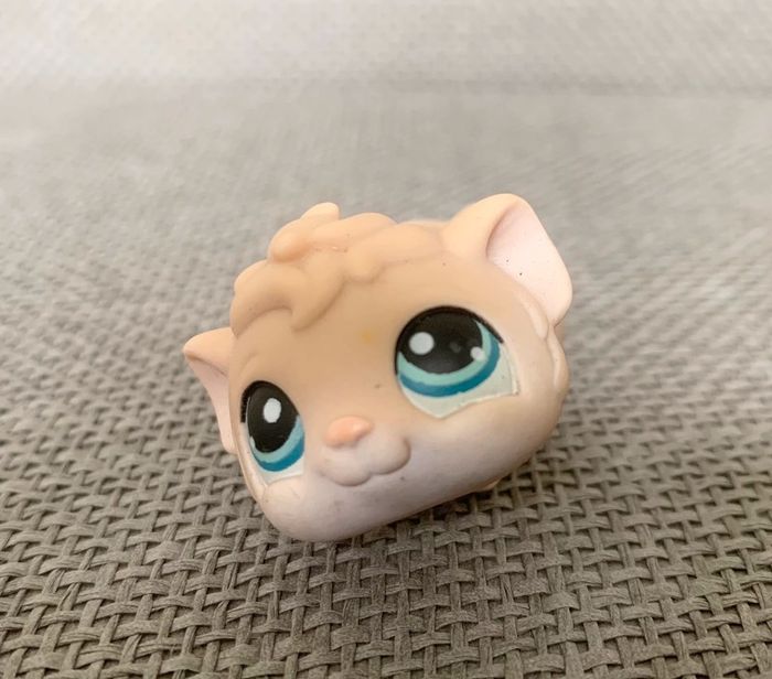 Petshop Cochon d’Inde - 2€ l’unité - photo numéro 2