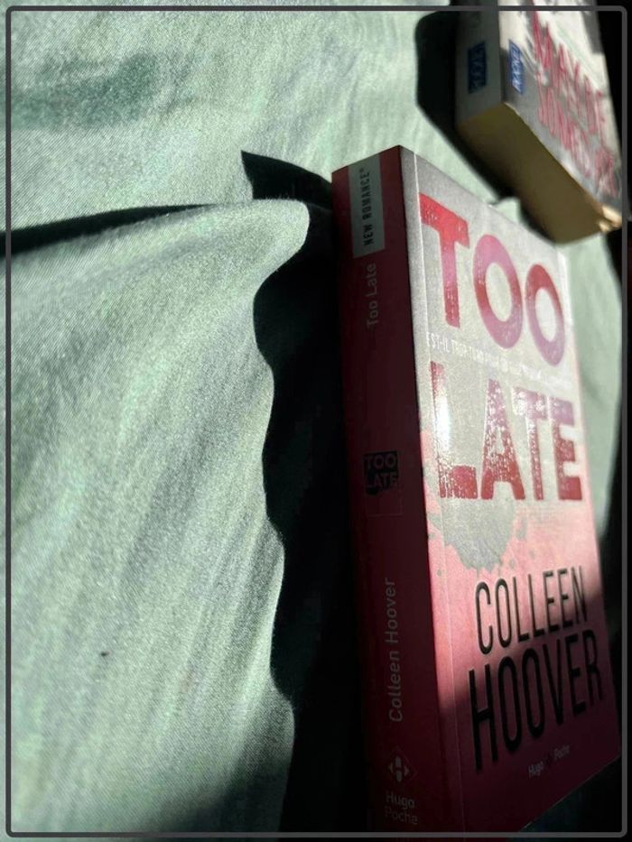 Colleen Hoover - too late - photo numéro 3
