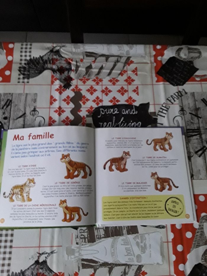 Livre enfant - photo numéro 4