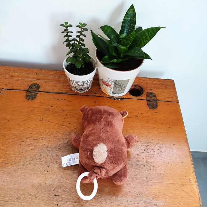 Doudou ours musical Du Pareil au Même très bon état - photo numéro 4