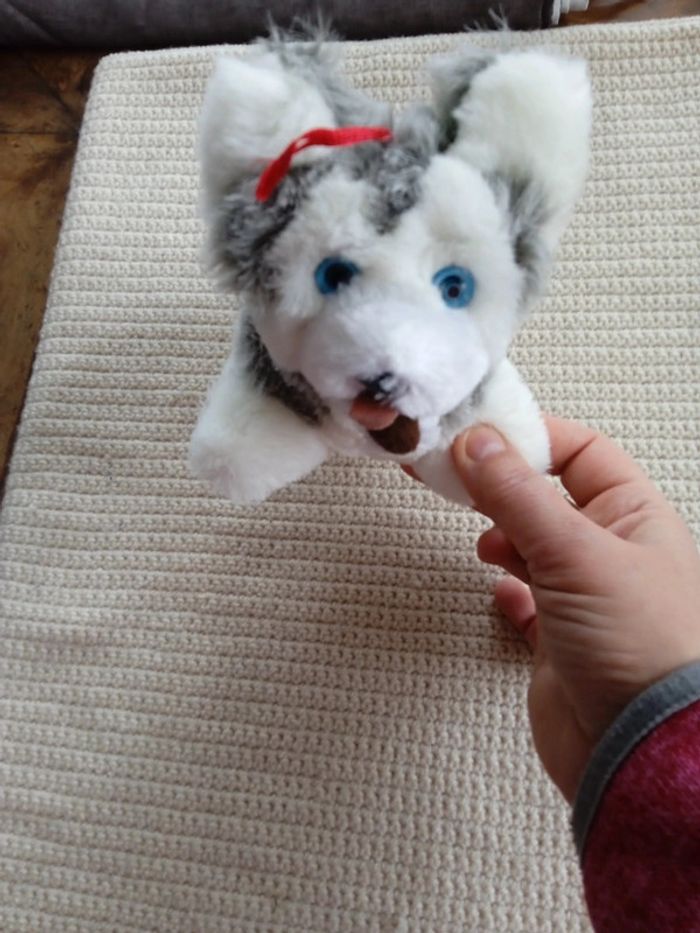 Peluche chien husky