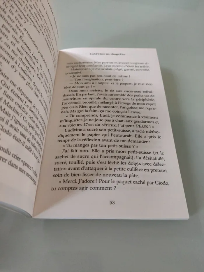 Gare au carnage, Amédée Petitpotage ! Lire c'est partir" - photo numéro 3