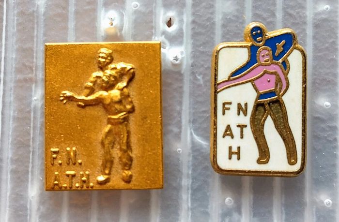 Lot de 2 pin's FNATH