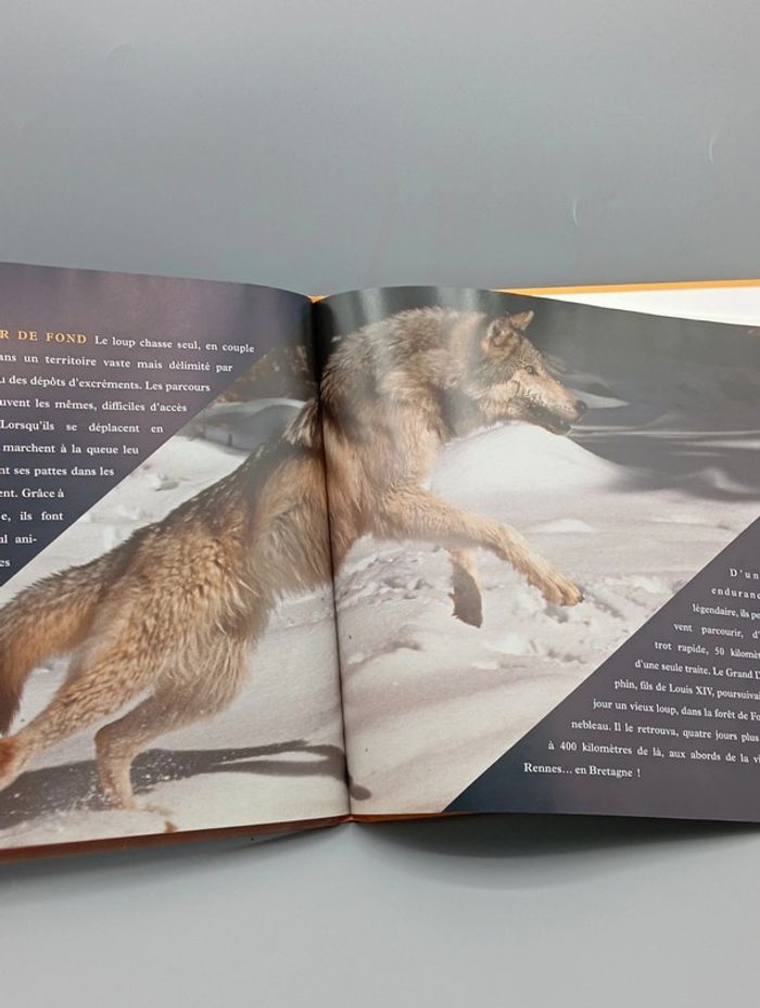 Le livre du loup - photo numéro 5