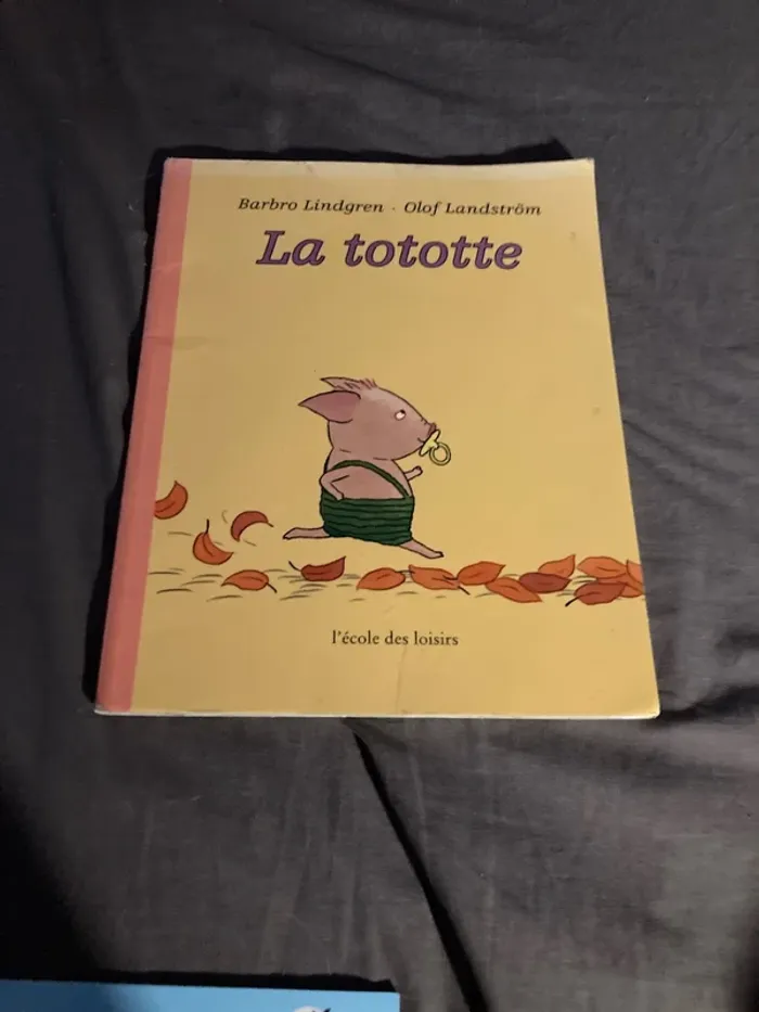 Livre la tototte et la montagne à la mer - photo numéro 5