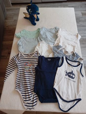 Lot de 9 bodies 2 ans