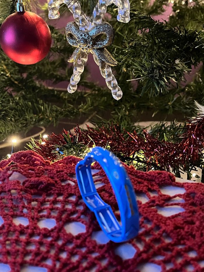 Miraculous du serpent - photo numéro 2