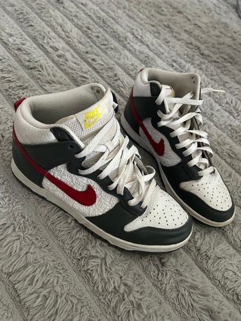 Dunk Nike