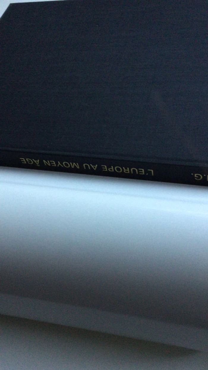 Livre l’Europe au moyen âge art roman art gothique exclusivité vintage qualité - photo numéro 4