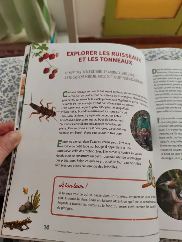 Écoute les animaux parler, à la découverte des habitants des bois et des prés - photo numéro 6