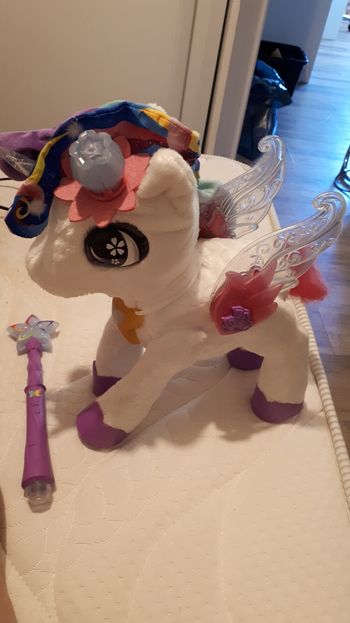 Licorne interactif