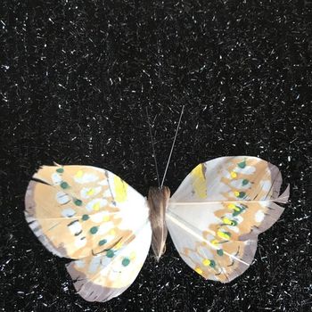 lot 2 papillons décoratifs * prix 1e* kiki60230