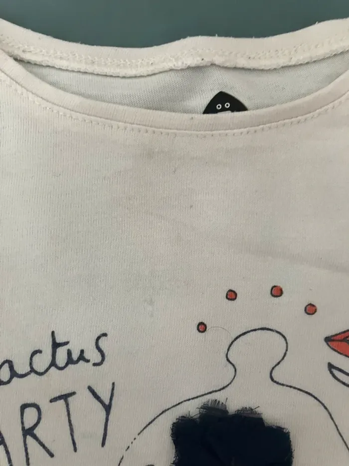 Lot de 11 tee-shirts MC taille 24 mois - photo numéro 20