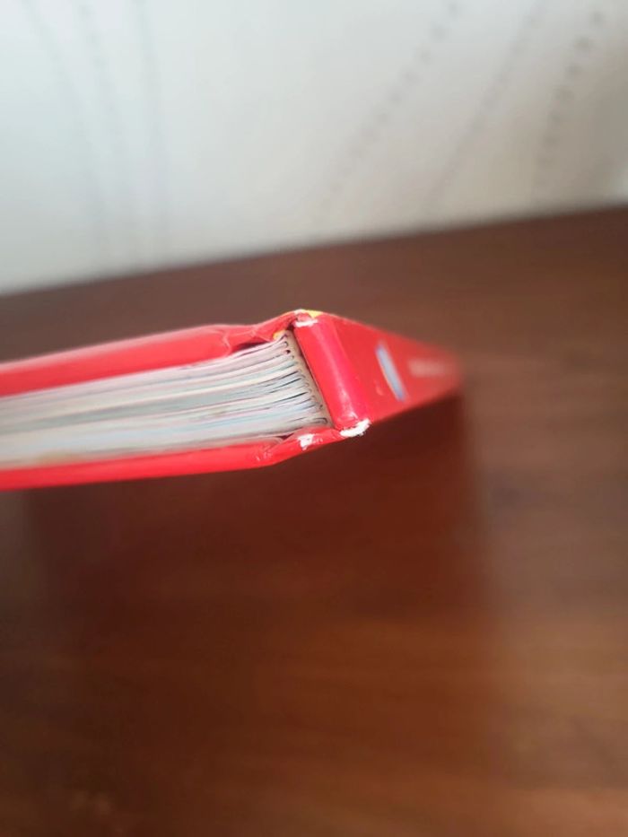 Livre caillou - photo numéro 4