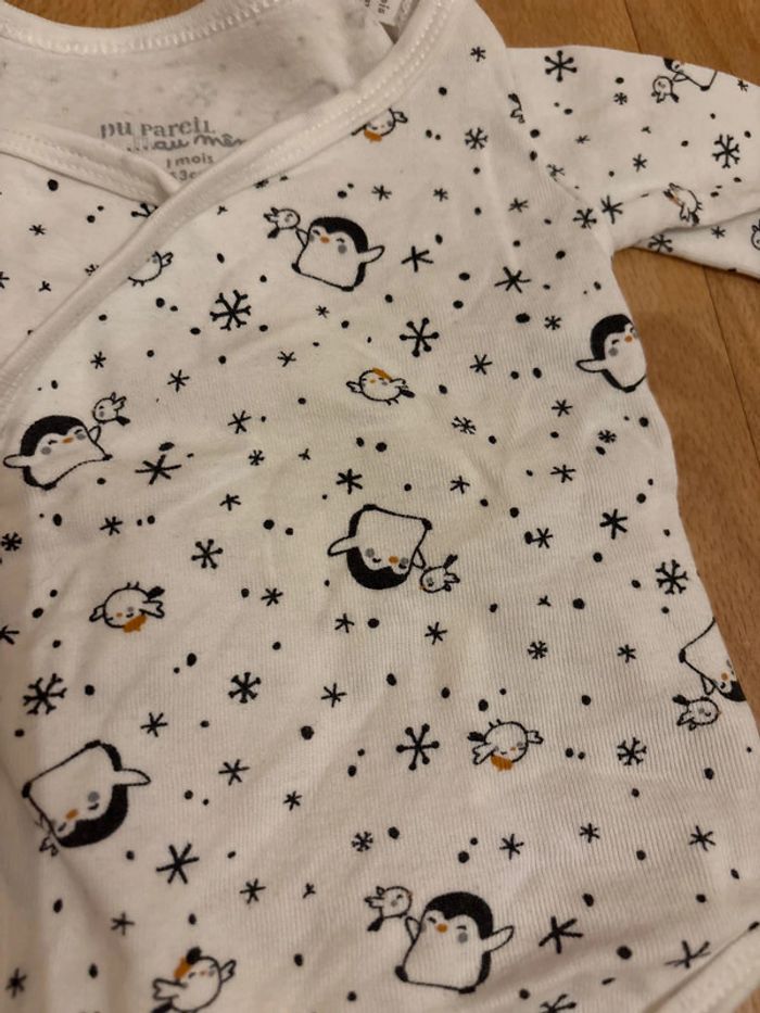 Body dû pareil au même - photo numéro 2