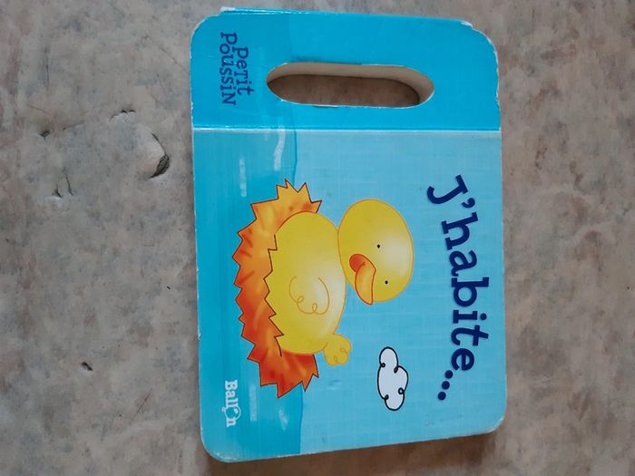 2 livres enfants - photo numéro 7