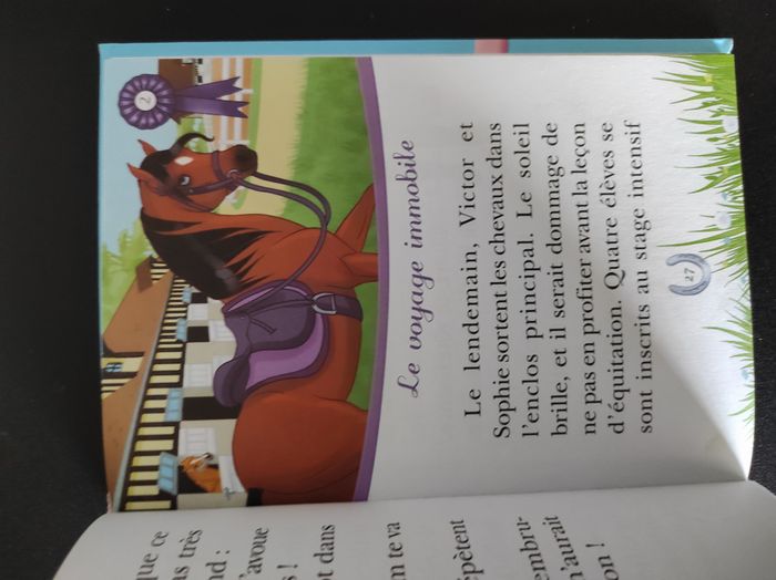 📘 Livre Mes amis les chevaux – Très bon état - photo numéro 4