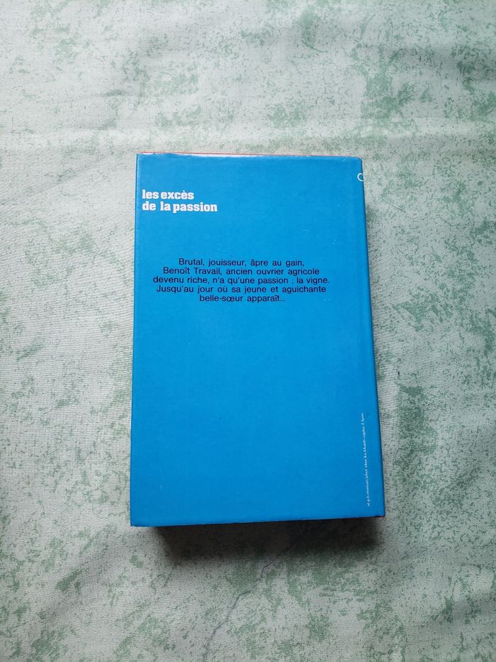 Livre les excès de la passion - photo numéro 2
