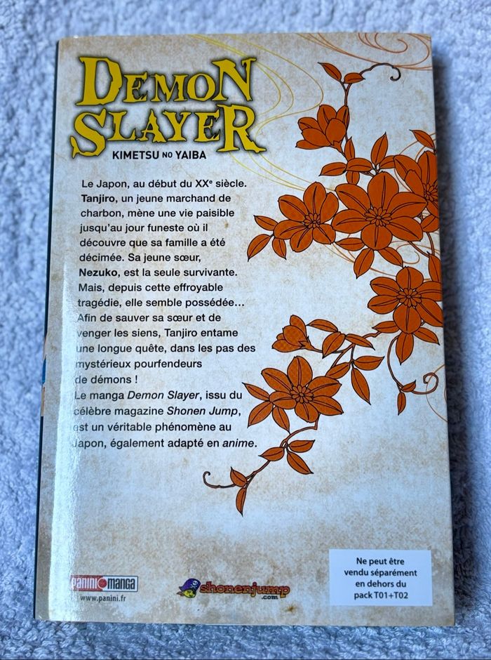 Tome 1 Demon slayer - photo numéro 2