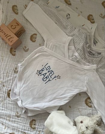 Lots de 3 bodys bébé