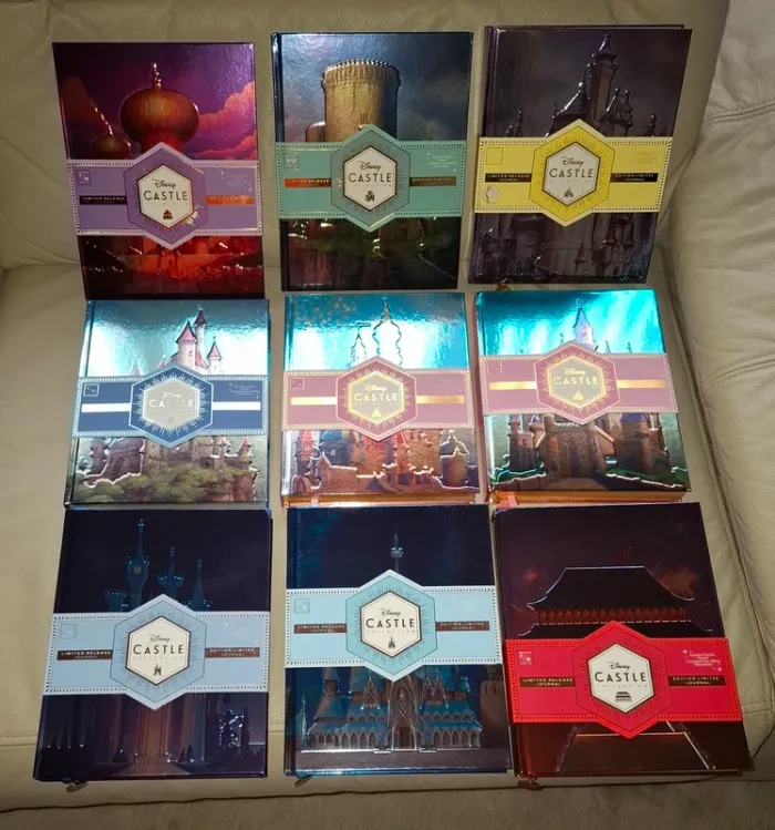 Lot de carnets livres cahiers castle collection disney princesse