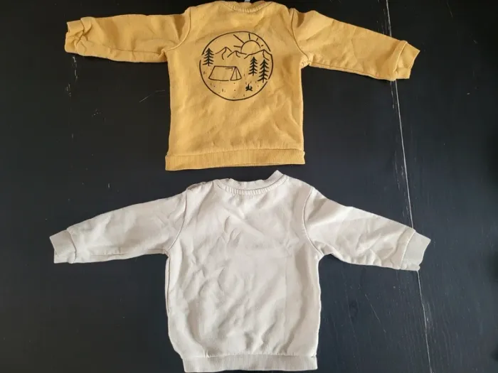 Lot de 2 sweats 9 mois - photo numéro 2