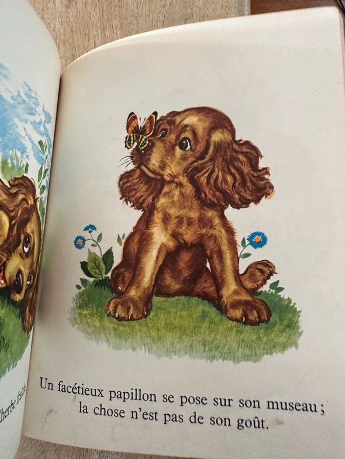 1956 - Les albums roses livre vintage très ancien Youpi cocker Pierre Probst Caroline jaune - photo numéro 6