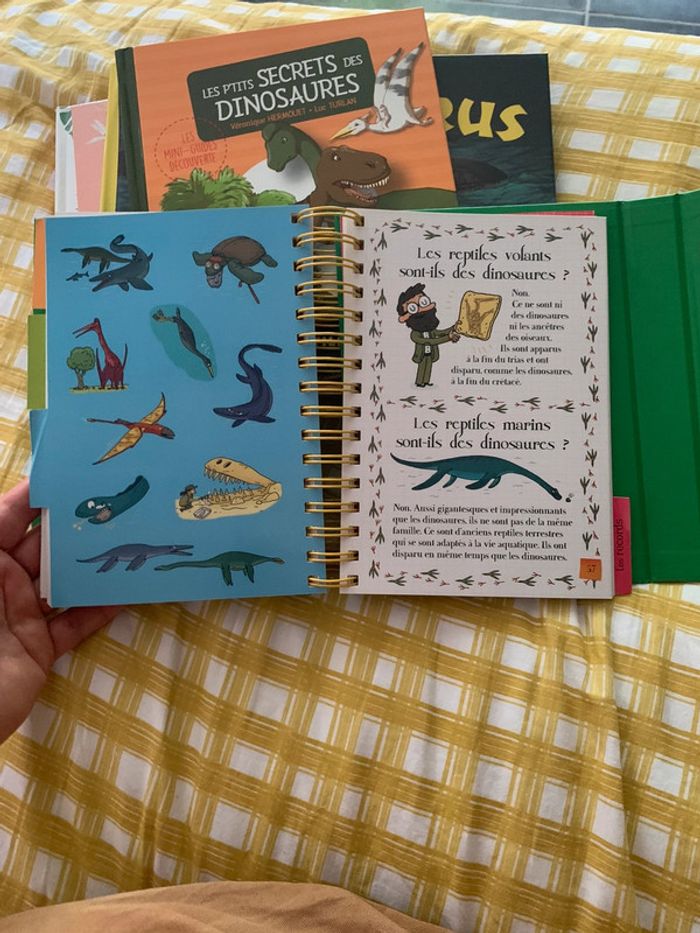 Livre docu "Les dinosaures" / Larousse jeunesse - photo numéro 7