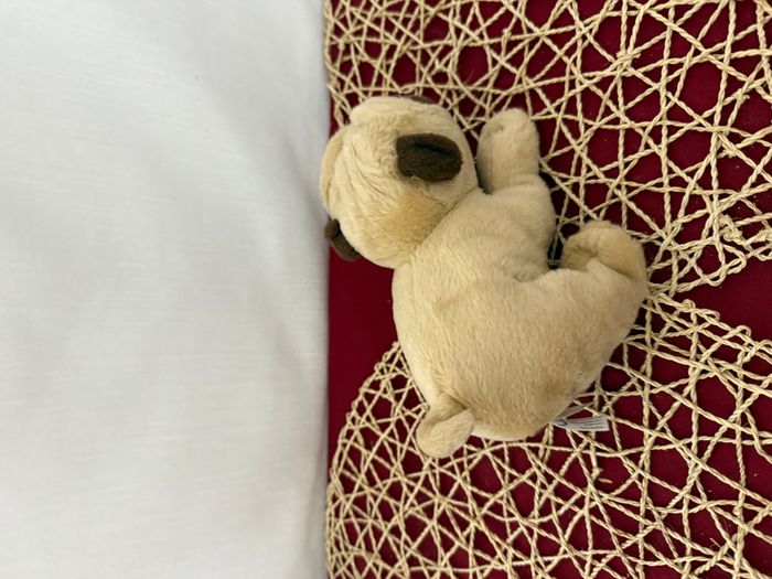 Keel Toys Peluche Chien PUGSLEY - photo numéro 6