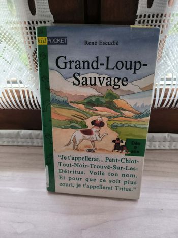 livre Grand-Loup-Sauvage - Escudié René en tres bon etat ref EC