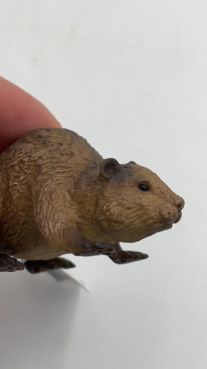 Figurine Beaver / Castor CollectA / Neotilus neuf - photo numéro 5