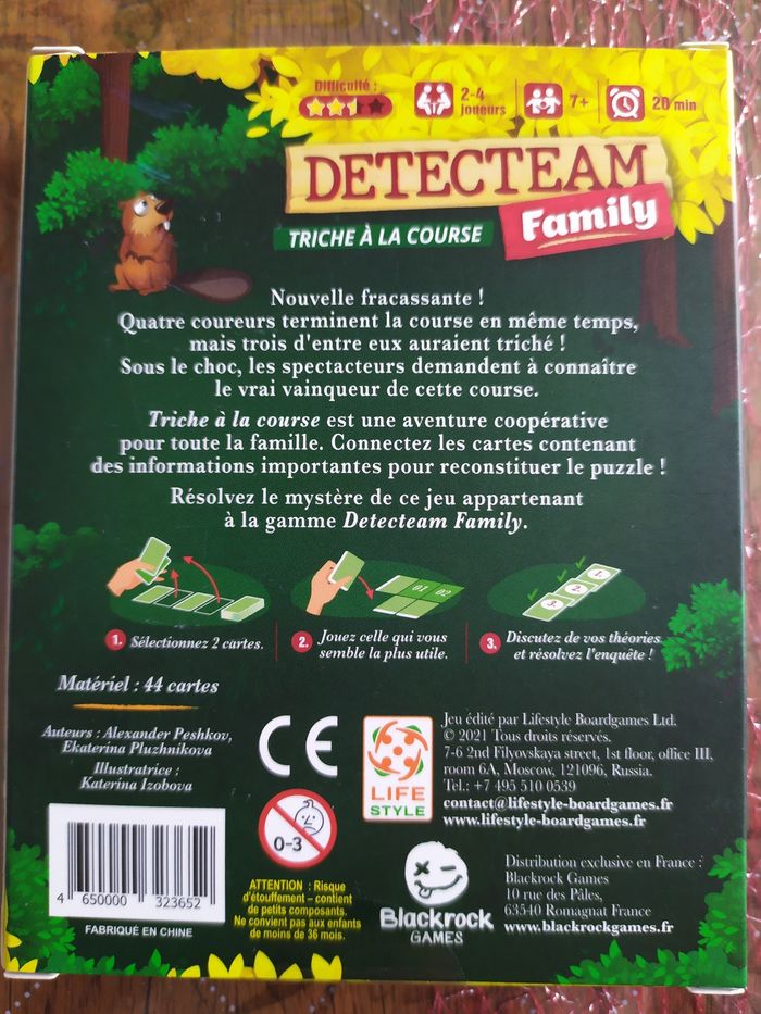 2 Jeux Detecteam Family - photo numéro 6