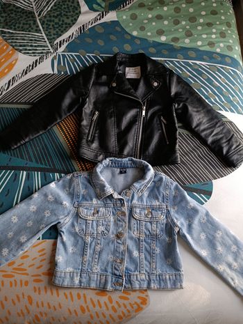 Vestes 