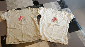 Lot de deux Tee-shirt taille 4ans