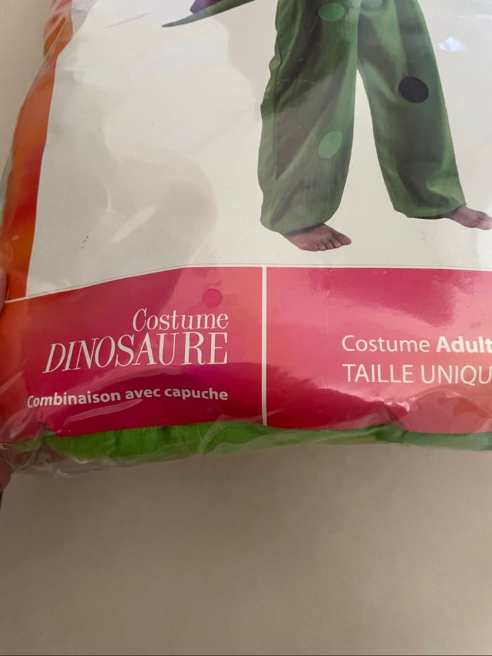 Déguisement dinosaure - photo numéro 2