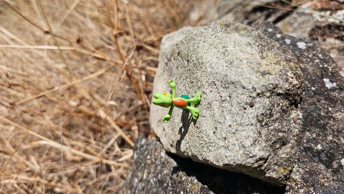 Super petite figurine Pokemon Nintendo Arcko