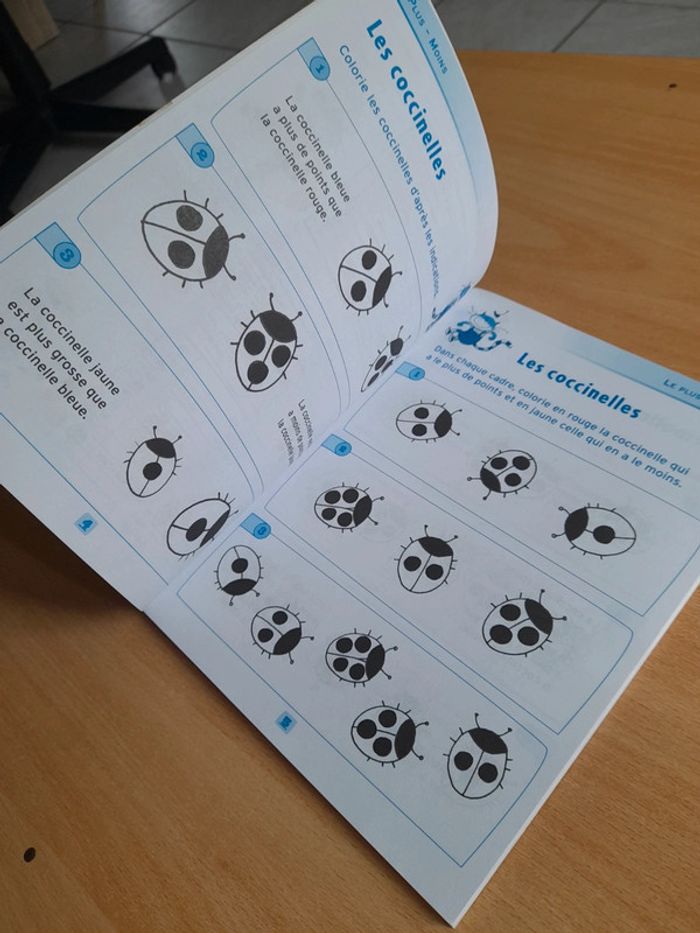 Des jeux pour apprendre à raisonner 6-8ans - photo numéro 5