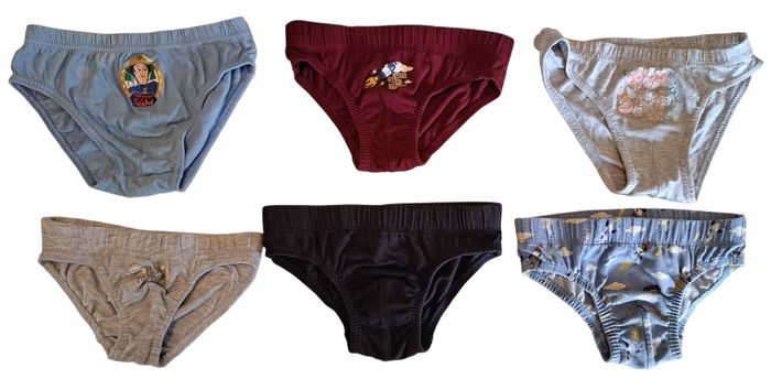 Lot de 6 slips garçon 4-5 ans BE