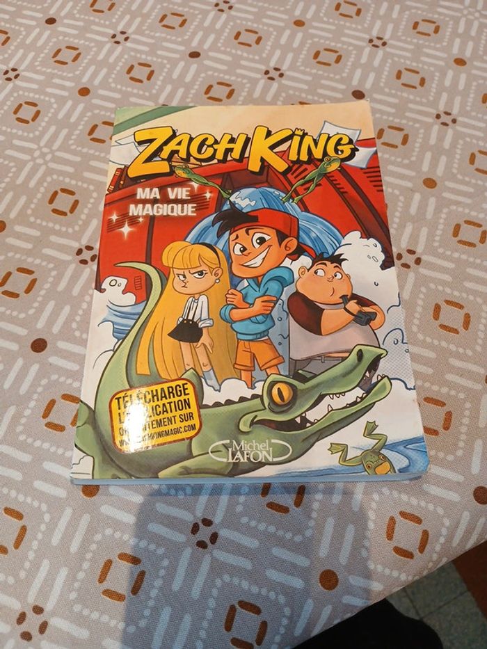 Zach King Ma Vie Magique