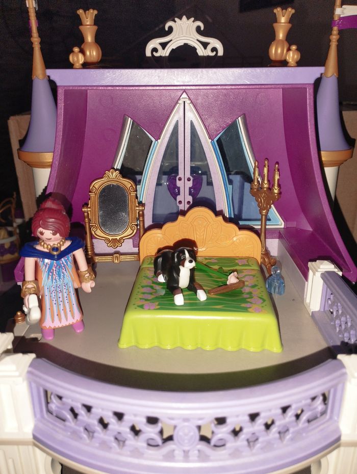 Château royal - photo numéro 8