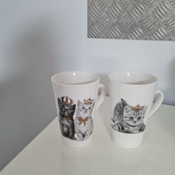 Deux beaux mugs chatons