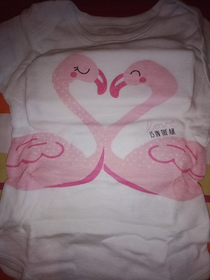 Lot de 4 body 3 mois neuf petite manche - photo numéro 2