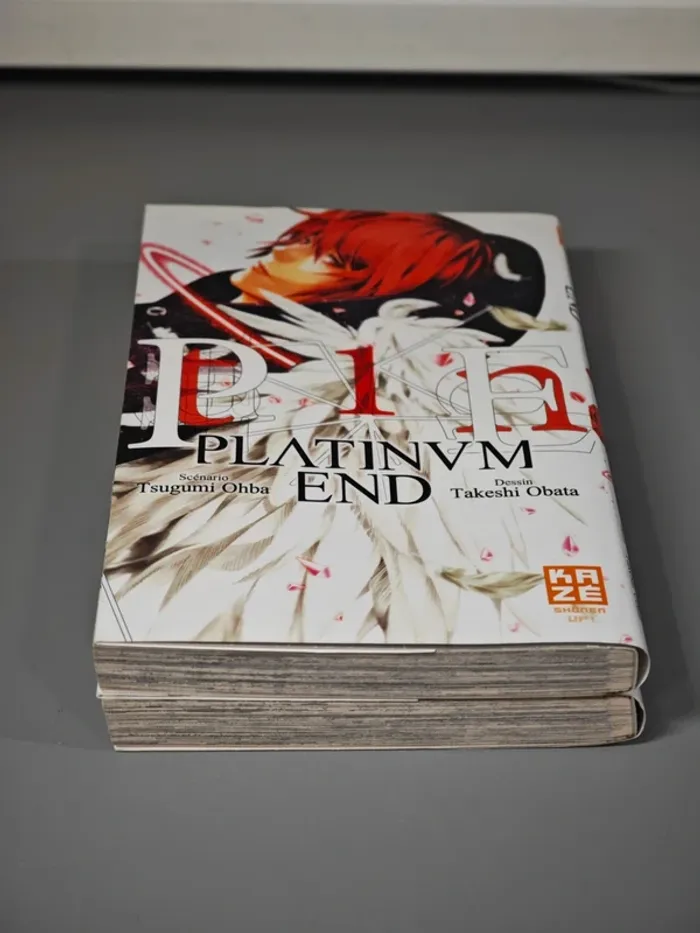 Lot Manga Platinum End T01 et 02 VF - photo numéro 6