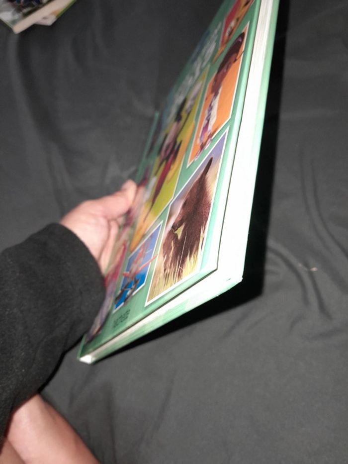 Livre disney Mon album 2015 - photo numéro 8