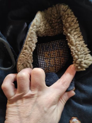 Veste ikks