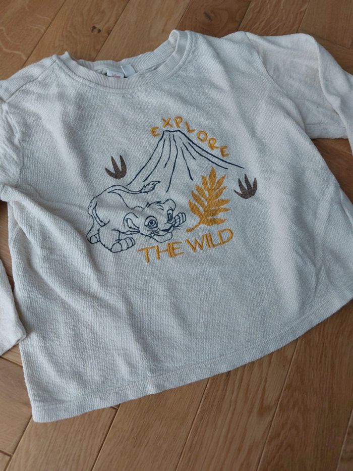 Pull Disney Orchestra - photo numéro 2