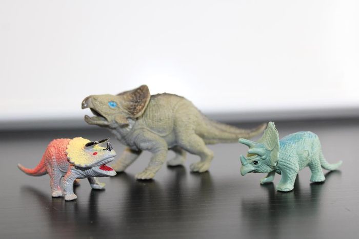 Lot figurines dinosaures - photo numéro 9