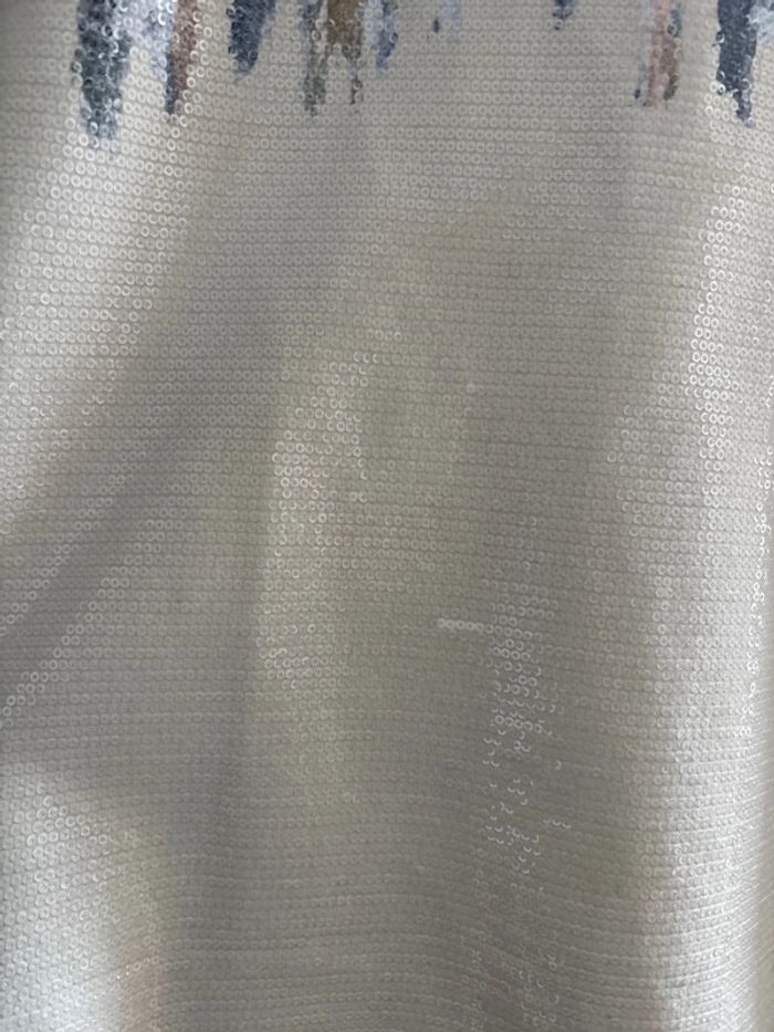 T shirt / blouse avec sequins Zara - photo numéro 3