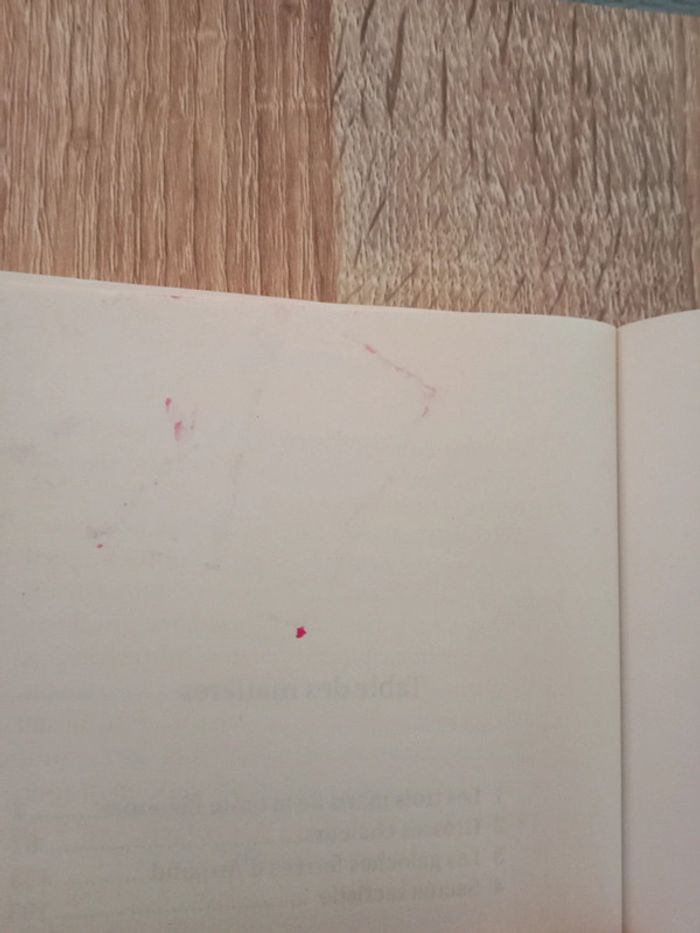 Christine Navarro - Le temps d'un été - photo numéro 5